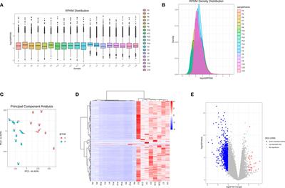 Whole Genome Transcriptomic Analysis of Ovary Granulosa Cells Revealed an Anti-Apoptosis Regulatory Gene DLGAP5 in Polycystic Ovary Syndrome